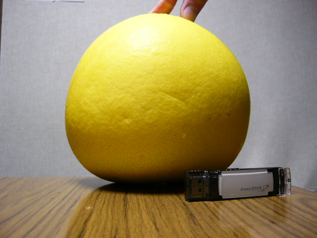 晩白柚と大きさ比較のための USB メモリ